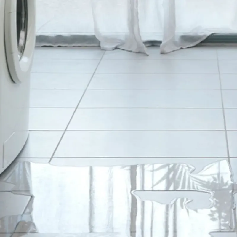Appliance Leak Cleanup in Silver Lake, CA
